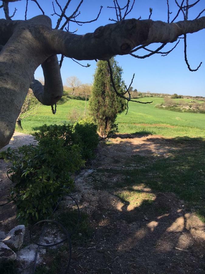 B&B Nuzzi Cassano delle Murge Bagian luar foto